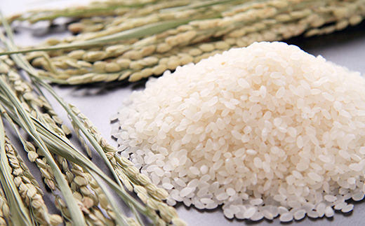 73-7N02Z【12ヶ月連続お届け】新潟県長岡産コシヒカリ2kg