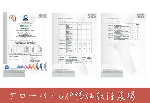 J8-7S101新潟県長岡産　新之助　10kg（5kg×2袋）