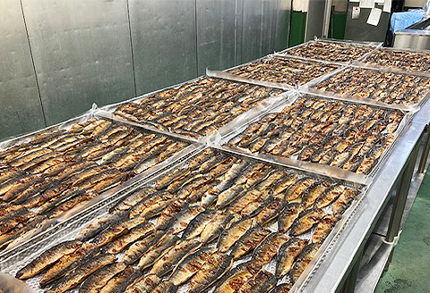 H7-97レンジで簡単調理 調理済み焼魚詰め合わせセット