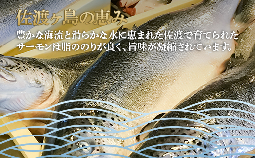 66-15美味極上　佐渡ゴールドサーモンの長岡越後味噌漬 5切入