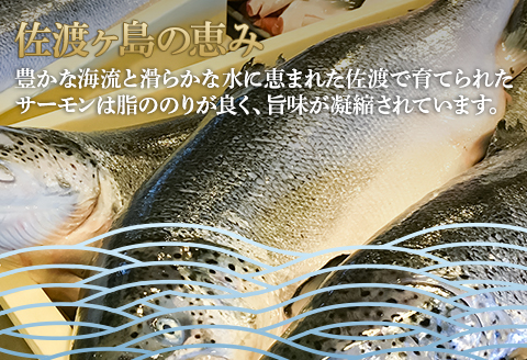 66-18A美味極上　佐渡ゴールドサーモンの長岡越後味噌漬 10切入