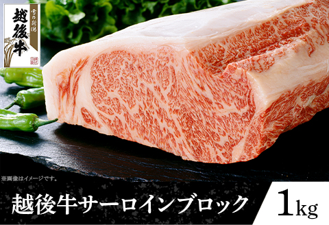 63-42B新潟県産 越後牛サーロインブロック1kg