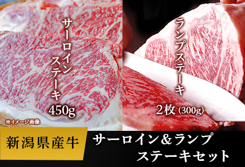 76-57B新潟県産牛（長岡産）サーロインステーキ450g＆ランプステーキ2枚（計300g）