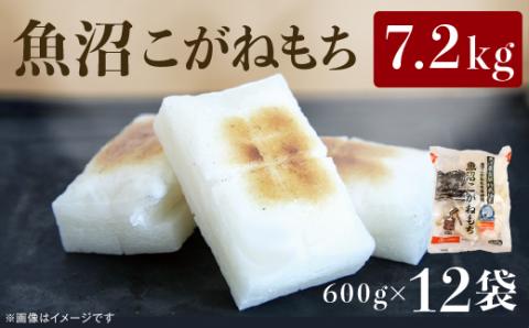 C2-R02A魚沼産こがねもち（長岡川口地域）7.2kg（600g×12袋）