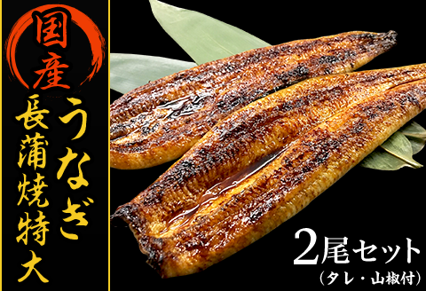 H7-93国産うなぎ長蒲焼特大2尾セット（タレ・山椒付）