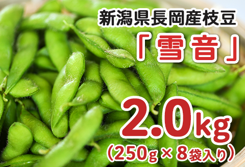 75E-17新潟県長岡産枝豆2.0kg【雪音250g×8袋入り】