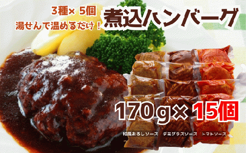 76-97B湯せんで簡単！煮込みハンバーグ食べ比べセット 3種2.5kg以上（170g×15個）