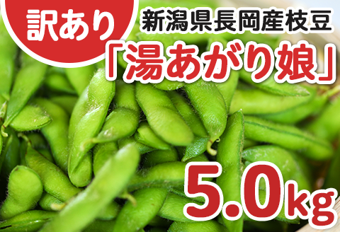 75E-BY5A【訳あり】新潟長岡産枝豆湯あがり娘5.0kg【B品】