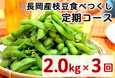 75E-TA新潟県長岡産枝豆【2.0kg×3回お届け】食べつくし定期コース