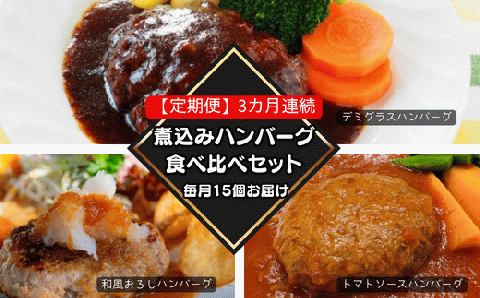 76-99A【3ヶ月連続お届け】湯せんで簡単！煮込みハンバーグ食べ比べセット 15個×3回お届け 総重量7.5kg以上！