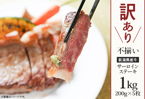 76-A0A【訳あり】不揃い 新潟県産牛（長岡産）サーロインステーキ1kg（200g×5枚）
