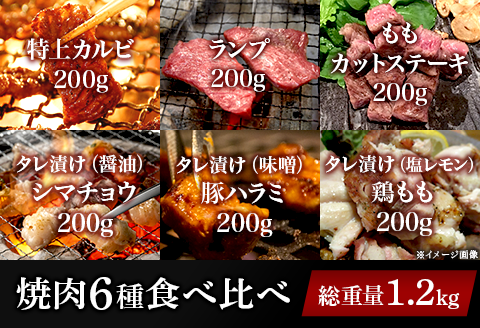 76-A1A焼肉6種食べ比べセット 6種×200g（総重量1.2kg）