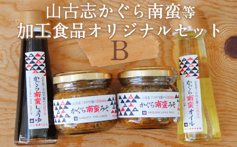 D4-02A山古志のこだわり4品セット