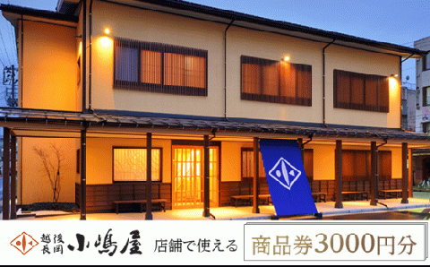 20-03A越後長岡小嶋屋　商品券3000円分（500円×6枚）