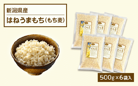 G8-24新潟県産はねうまもち（もち麦）500g×6袋入