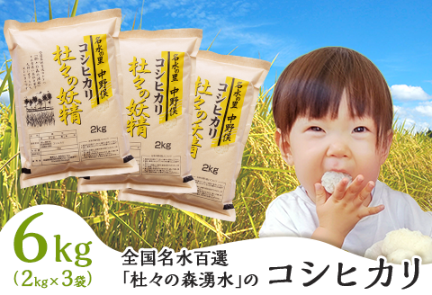 43-03杜々の妖精コシヒカリ6kg（2kg×3袋）全国名水百選栃尾産