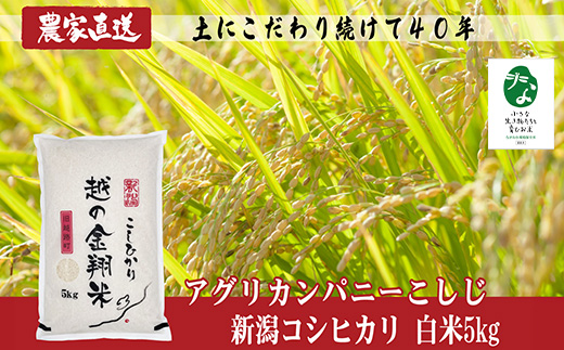 J8-7C051B【越の金翔米】新潟県長岡産コシヒカリ5kg【「小さな生き物たちと育むお米」認証品】