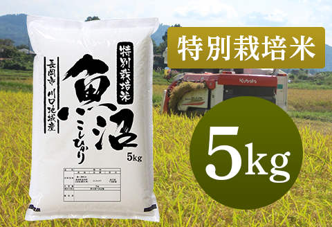 94-7K51特別栽培米 新潟県魚沼産コシヒカリ（長岡川口地域）5kg