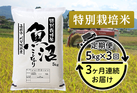 94-7K53【3ヶ月連続お届け】特別栽培米 新潟県魚沼産コシヒカリ（長岡川口地域）5kg
