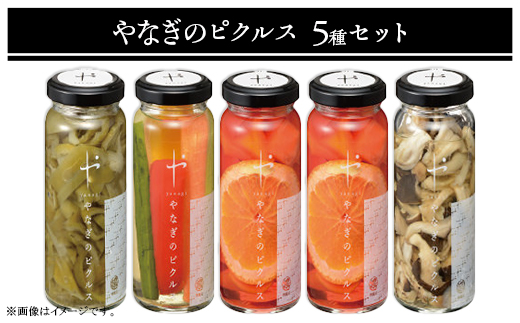 81-20やなぎのピクルス5本セット