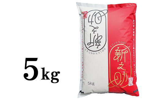 48-7S051新潟県長岡産「新之助」5kg