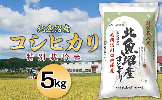 7T05-1北魚沼産コシヒカリ特別栽培米5kg（長岡川口地域）【2025年12月発送】