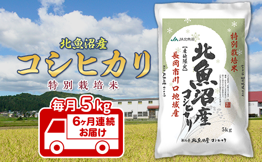 7T05-6【6ヶ月連続お届け】北魚沼産コシヒカリ特別栽培米5kg（長岡川口地域）【2025年12月発送開始】