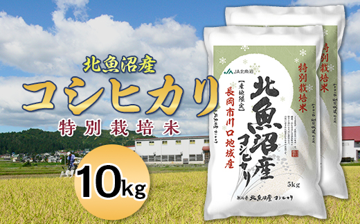 7T10-1北魚沼産コシヒカリ特別栽培米10kg（長岡川口地域）【2025年12月発送】