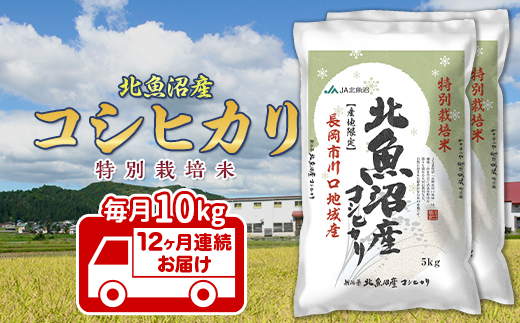 7T10-3【3ヶ月連続お届け】北魚沼産コシヒカリ特別栽培米10kg（長岡川口地域）【2025年12月発送開始】