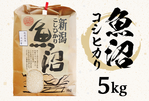 B7-7K051A新潟県魚沼産（長岡川口地域）コシヒカリ5kg