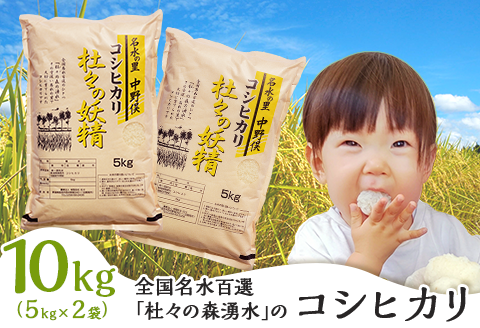 43-11杜々の妖精コシヒカリ10kg（5kg×2袋）全国名水百選栃尾産