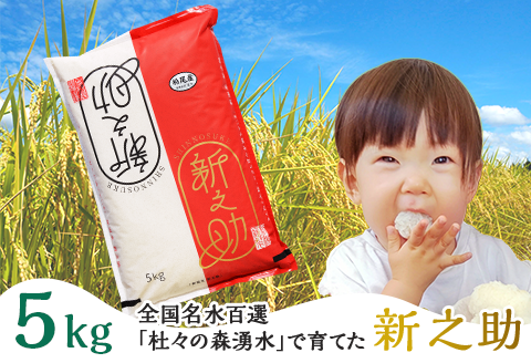 43-10新之助5kg（全国名水百選栃尾産）