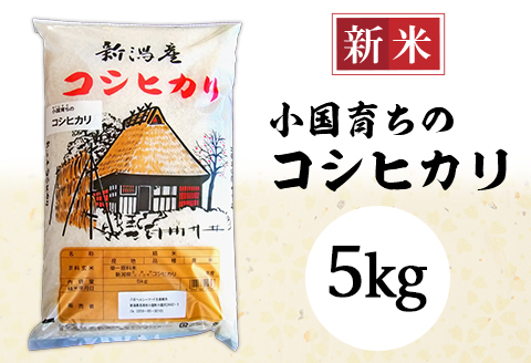 58-06B小国育ちのコシヒカリ5kg
