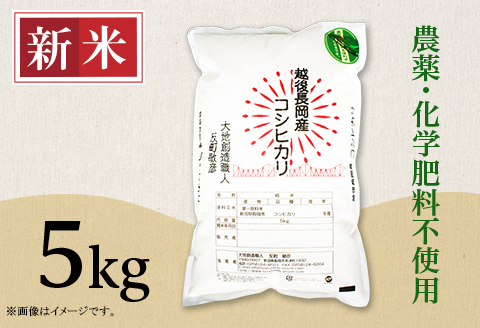 E1-S051B新潟県産米コシヒカリ5kg