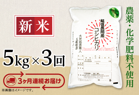 E1-S053B【3ヶ月連続お届け】新潟県産米コシヒカリ5kg