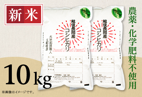 E1-S101B新潟県産米コシヒカリ10kg