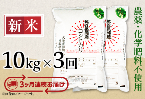 E1-S103B【3ヶ月連続お届け】新潟県産米コシヒカリ10kg