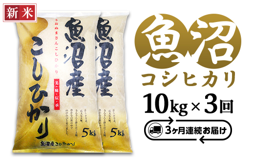 C2-7K103C【3ヶ月連続お届け】新潟県魚沼産コシヒカリ10kg（5kg×2袋）（長岡川口地域）