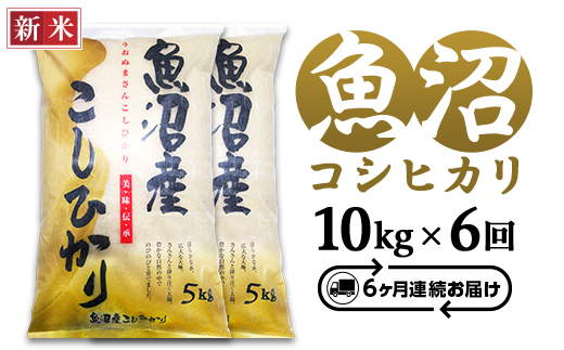 C2-7K106C【6ヶ月連続お届け】新潟県魚沼産コシヒカリ10kg（5kg×2袋）（長岡川口地域）