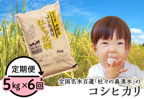 43-12【6ヶ月連続お届け】杜々の妖精コシヒカリ5kg（全国名水百選栃尾産）