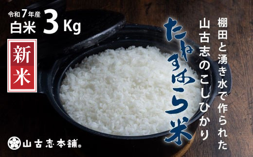 G3-7K03旧山古志村のこしひかり「たねすはら米」白米3kg（新潟県産コシヒカリ）