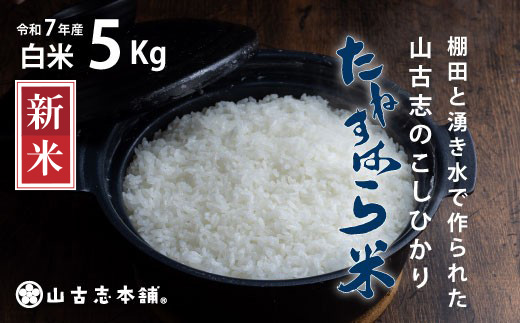 G3-7K05旧山古志村のこしひかり「たねすはら米」白米5kg（新潟県産コシヒカリ）