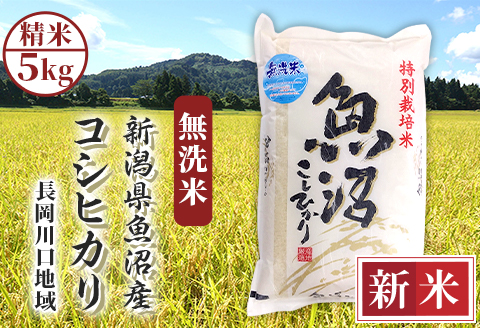 H0-7M051A新潟県魚沼産コシヒカリ（長岡川口地域）無洗米5kg