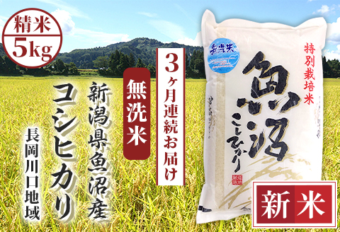 H0-7M053A【3ヶ月連続お届け】新潟県魚沼産コシヒカリ（長岡川口地域）無洗米5kg
