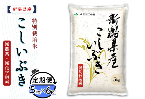 75-7K056【6ヶ月連続お届け】新潟県長岡産特別栽培米こしいぶき5kg【2026年3月発送開始】