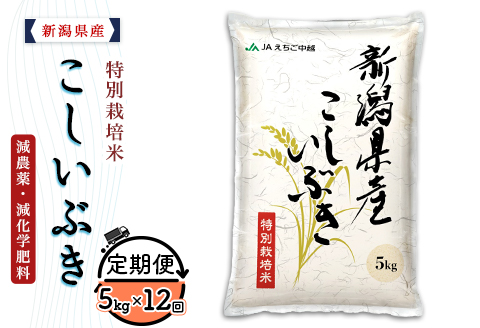 75-BK05Z【12ヶ月連続お届け】新潟県長岡産特別栽培米こしいぶき5kg【2025年3月上旬～下旬発送開始】