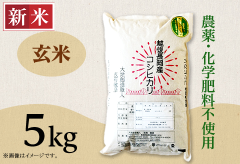 E1-G051A新潟県長岡産コシヒカリ玄米5kg