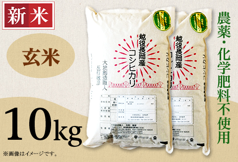 E1-G101A新潟県長岡産コシヒカリ玄米10kg