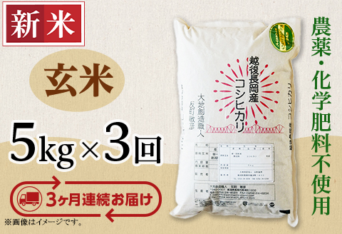 E1-G053A【3ヶ月連続お届け】新潟県長岡産コシヒカリ玄米5kg