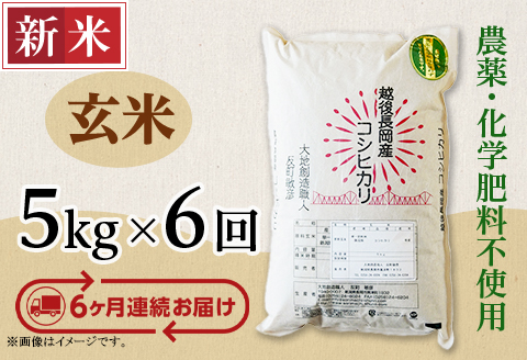 E1-G056A【6ヶ月連続お届け】新潟県長岡産コシヒカリ玄米5kg